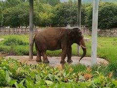-西安秦岭野生动物园