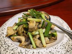 葱拌海螺-中苑海韵