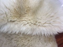 -翰皇直营洗衣洗鞋(望京鹿港店)