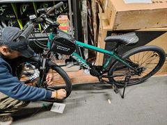 -道路口单车爱瓦士dahon大行