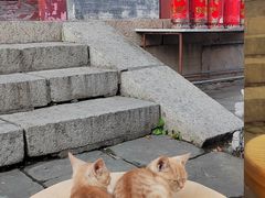 -高尔山公园