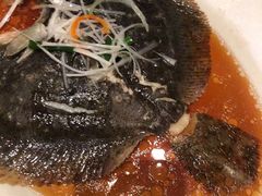 清蒸多宝鱼-东方明珠老上海8号餐厅(东方明珠广播电视塔店)