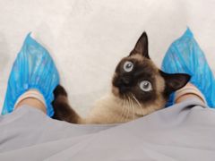 -猫儿山۰猫主题餐厅