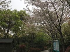 -长广溪湿地公园