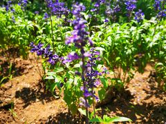 -云峰山自然风景区