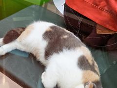 -天虹购物中心(深圳龙华店)