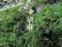 -深圳湾万象城(南山店)