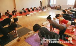 -天悦国际瑜伽学院