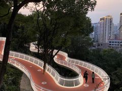 -金鸡山公园
