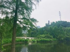 -重庆彩云湖湿地公园