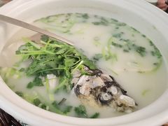 -紫藤园·天目湖大鱼头(南山竹海店)