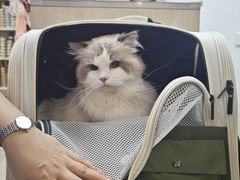 -北京观赏动物医院·24小时大型综合·猫专科·异宠专科