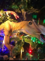 -恐龙探索乐园(磁器口店)