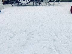 -世界之窗阿尔卑斯冰雪世界