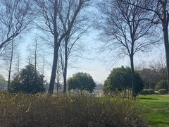 -贡湖湾湿地公园