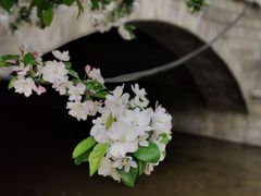 -海棠花溪(元大都城垣遗址公园)