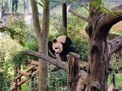 -云南野生动物园