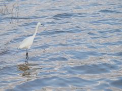 -湖泉半山温泉(湖泉生态园)