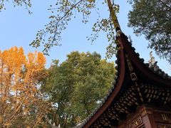 -汇龙潭