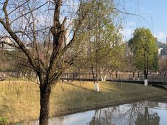 -沐仙湖湿地公园