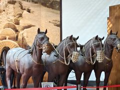 -古车博物馆