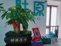点击看大图 -肤原祛痘修肤中心