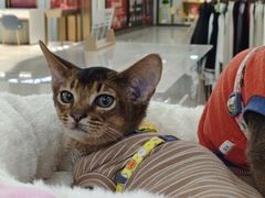 -巴黎春天(陕西路店)