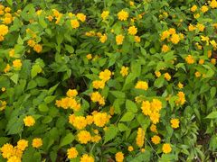 -天鹅湖体育公园