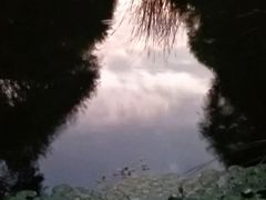 -廊坊文化艺术中心