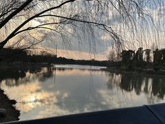 -九科绿洲