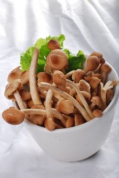 -吉友粥底火锅(方斜路店)