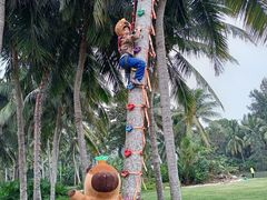 -石梅湾艾美度假酒店