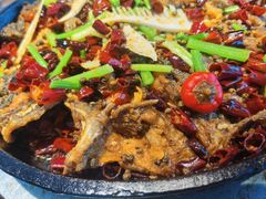 -老板恋上鱼(恒隆广场店)