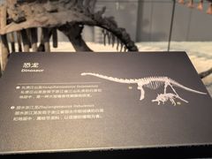 -浙江自然博物院(杭州馆)
