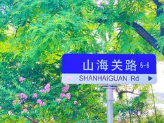 -八大关景区