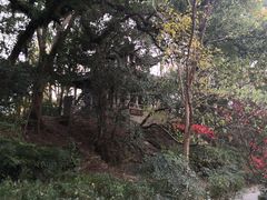 -蒋氏故居