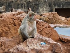 -昆明动物园