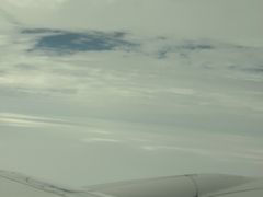 -全日本空输株式会社(上海办事处)