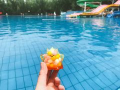 泳池-青年湖公园水上世界