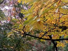 -观象山公园