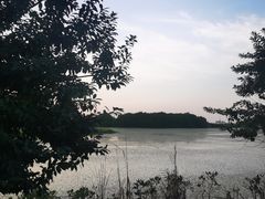 -大湾区中央湿地公园