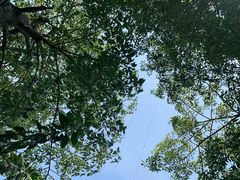 -海沧湾公园