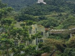 -深圳仙湖植物园