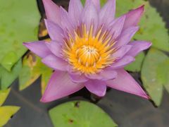 -三亚南山文化旅游区