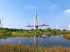 -芒洲湿地公园