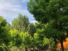 -东郊湿地公园
