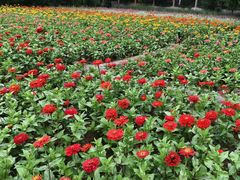 -阿尔丁植物园