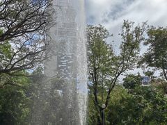 -九龙公园