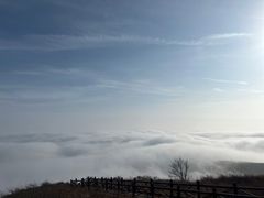 -阳台山自然风景区