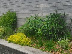 -木守西溪溪隐餐厅